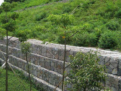 石籠擋墻 (3).jpg