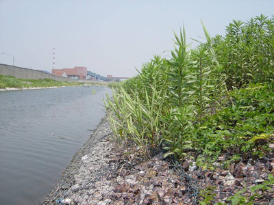 河道石籠網(wǎng) (2).jpg