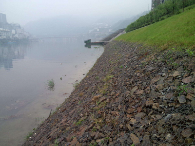 生態(tài)雷諾護墊 (2).jpg